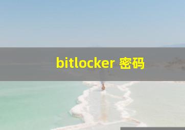 bitlocker 密码